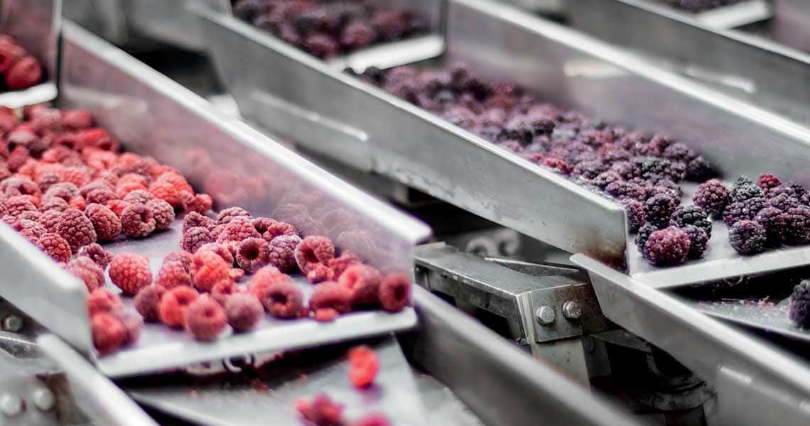 bts_image-gallery_lebensmittel-und-getrankeindustrie